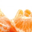 food-14