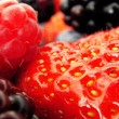 food-33