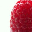 food-95