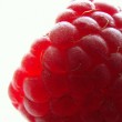 food-96