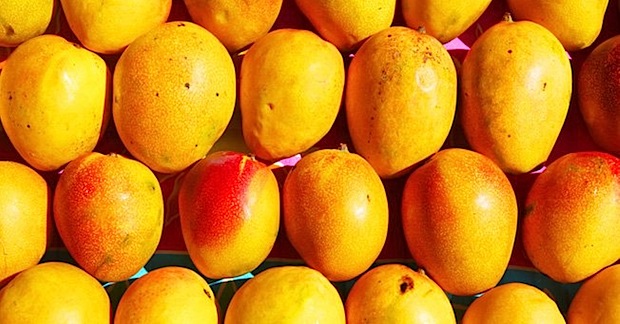 HTC, Samsung y LG preparan smartphones Windows Phone Mango para Septiembre