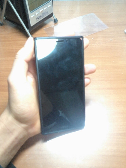 Vega Iron
