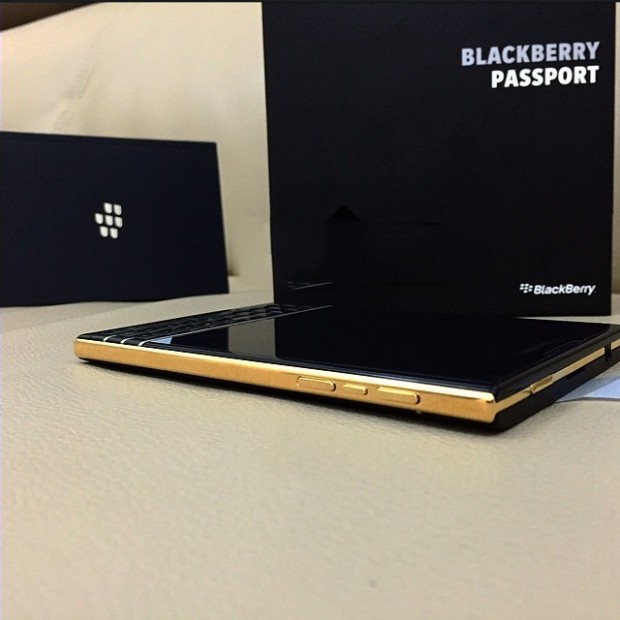bb passport dorado