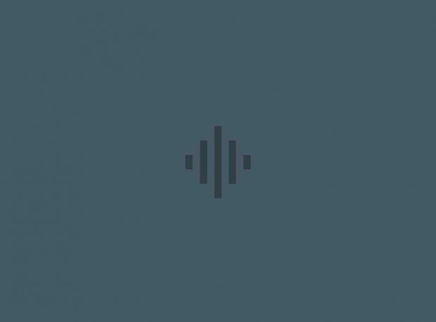 google voice access