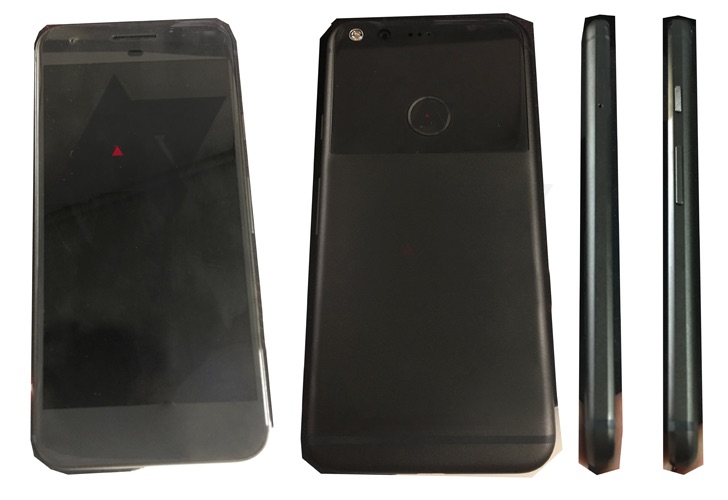 nexus sailfish filtrado