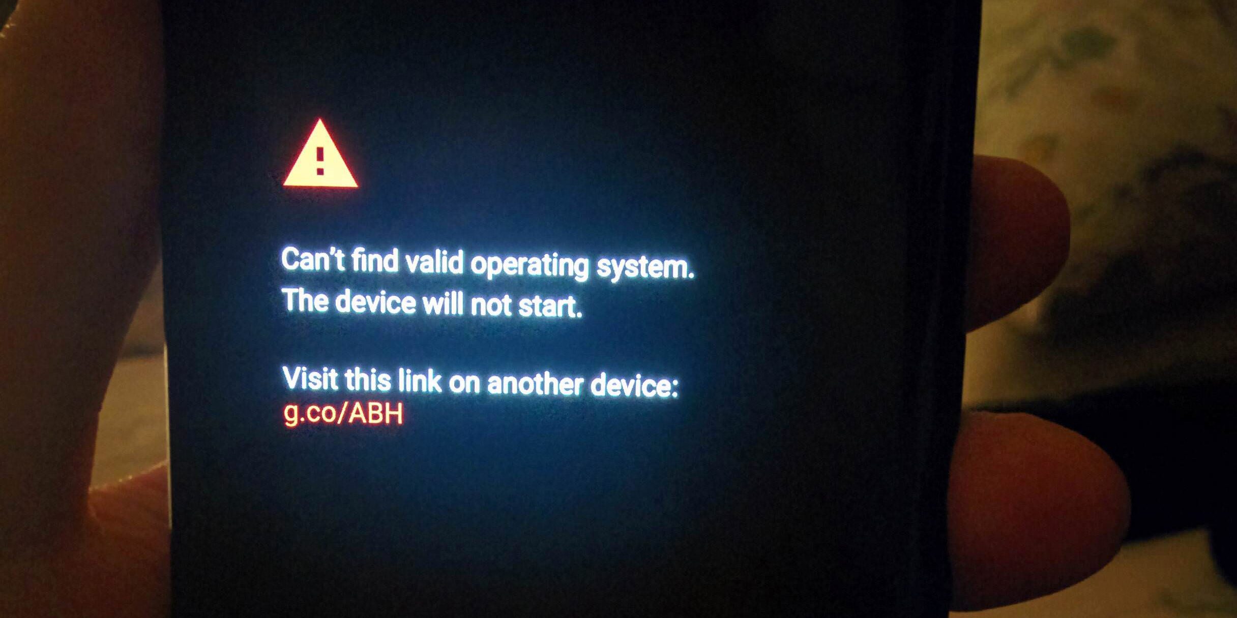 Captura de pantalla de un usuario con un Google Pixel 2 XL sin Android preinstalado.