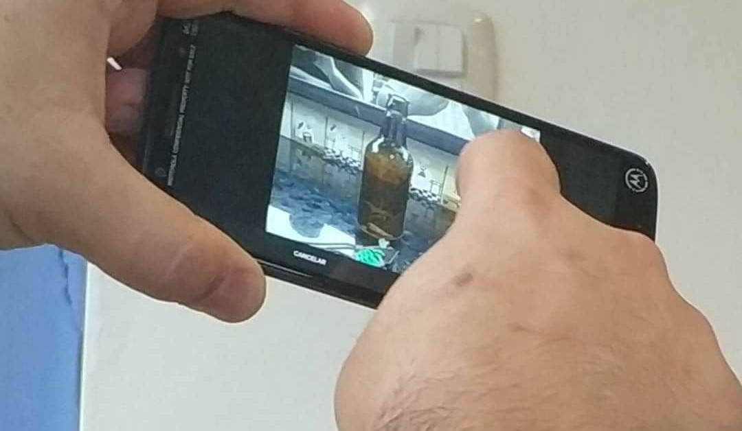 Pantalla del Moto G6 Plus filtrado de preproducción