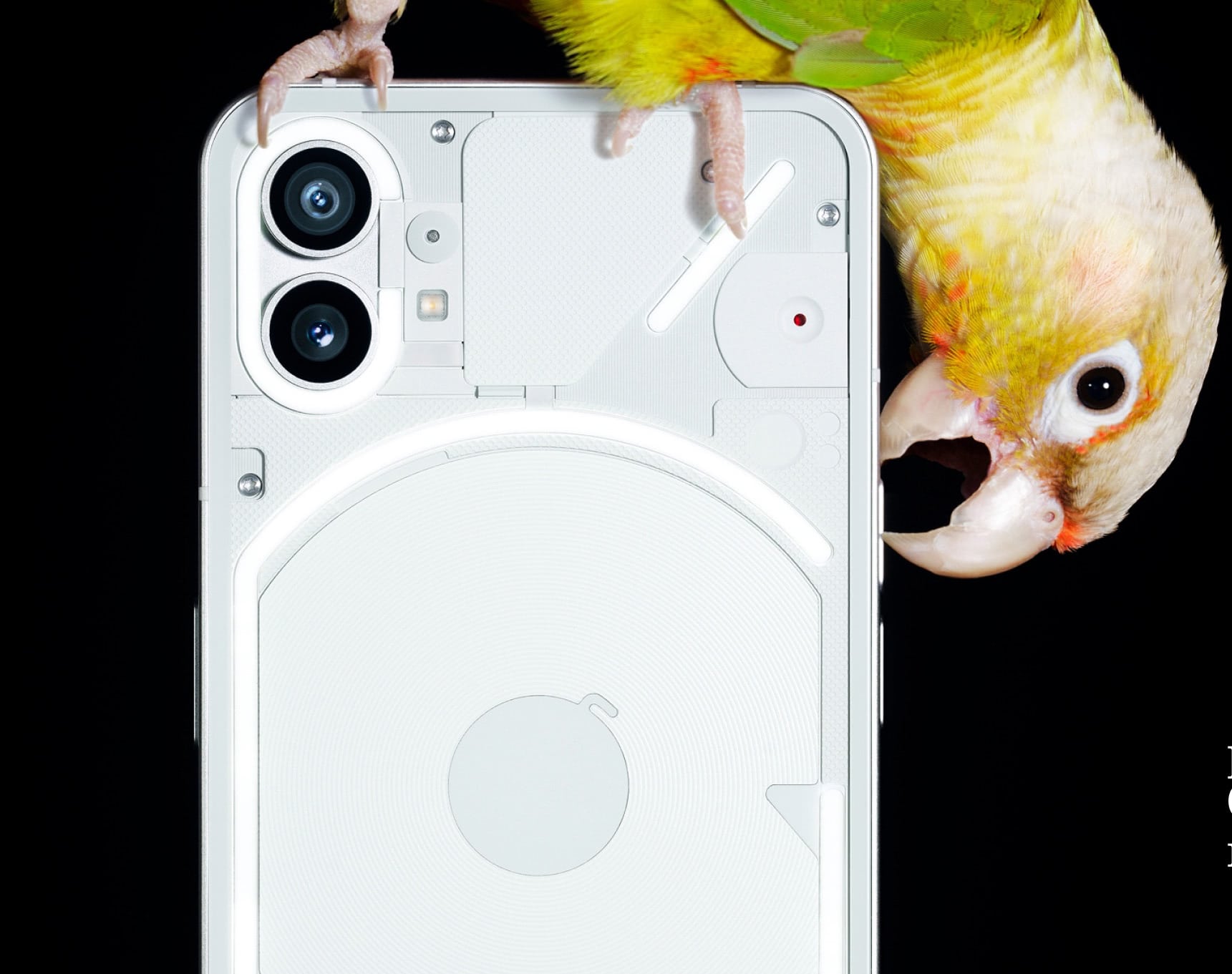 El Nothing Phone (1) se perfila como el nuevo OnePlus